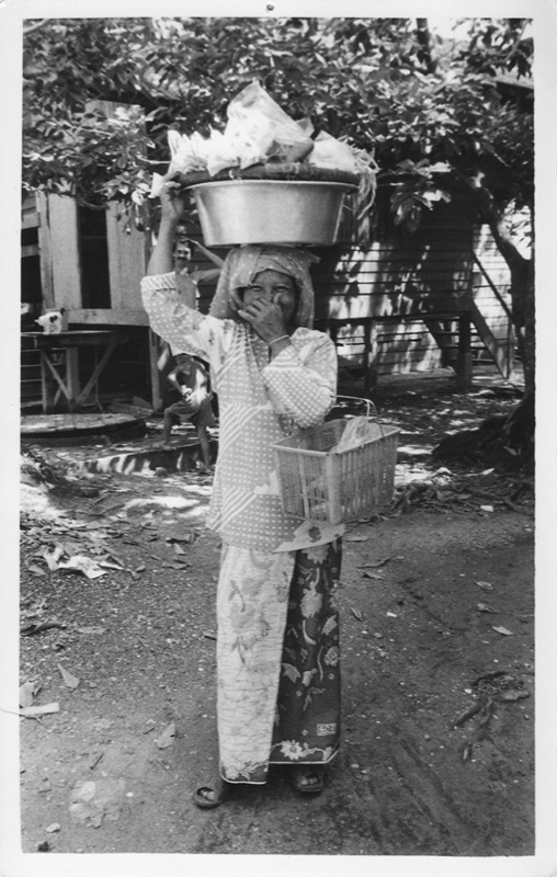 Wan Hamida